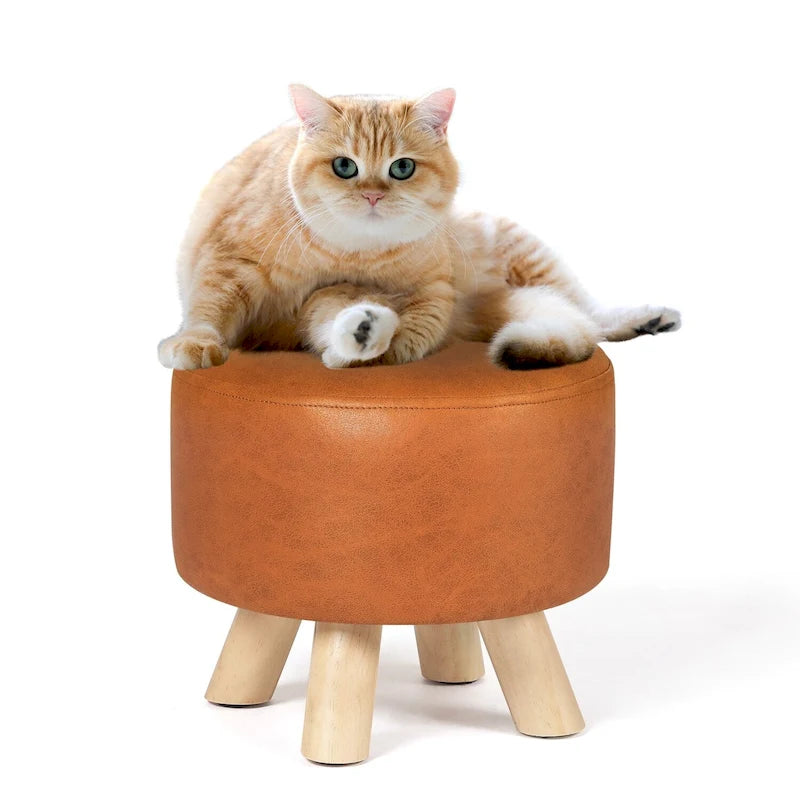 Foot Rest Ottoman Pet Stool